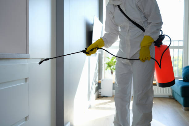 Holtville, CA Mold Remediation Company